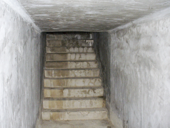 Ligne Maginot - E6 - TOURNEFORT (Casemate d'infanterie) - Escalier assurant la liaison entre la casemate et la galerie passant sous la route - Marc ENDINGER