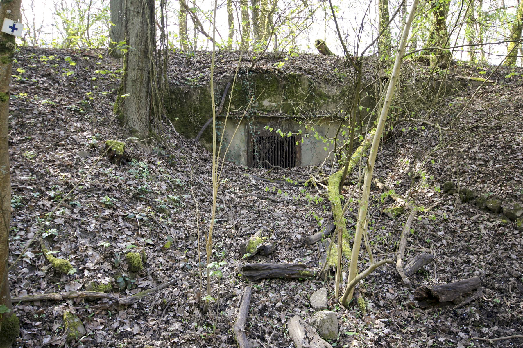 Ligne Maginot - ILLANGE (FESTE DE) - (Ouvrage d'artillerie) -  - Michel & Philippe ZIMMER