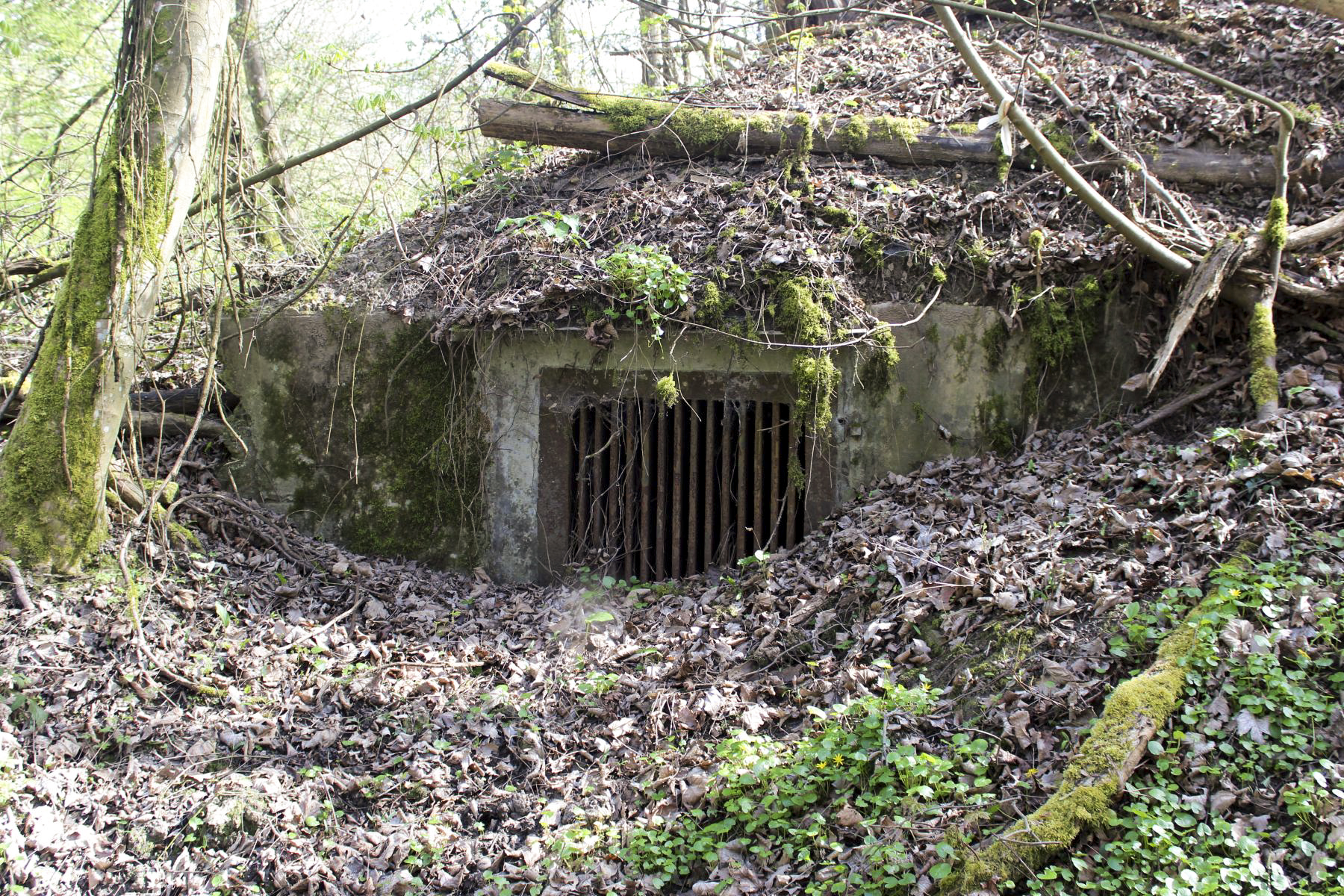 Ligne Maginot - ILLANGE (FESTE DE) - (Ouvrage d'artillerie) -  - Michel & Philippe ZIMMER