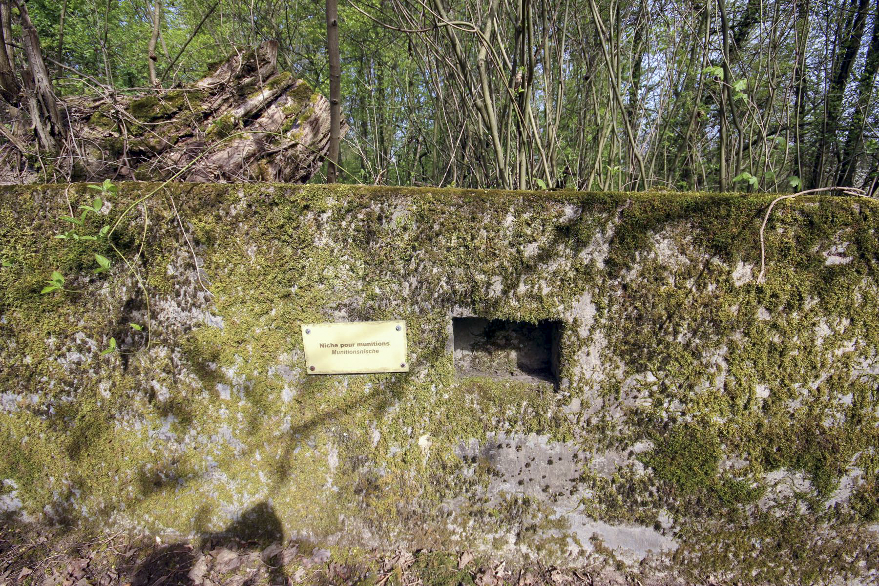 Ligne Maginot - ILLANGE (FESTE DE) - (Ouvrage d'artillerie) -  - Michel & Philippe ZIMMER