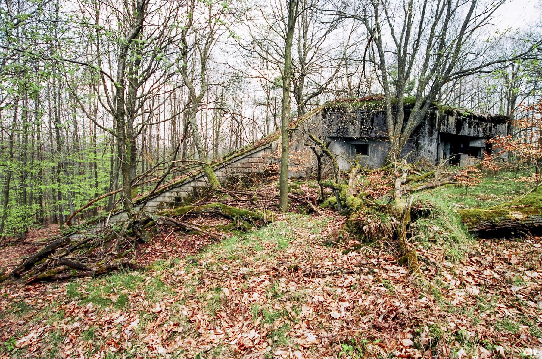 Ligne Maginot - BIESENBERG 4 - (Blockhaus pour arme infanterie) -  - Lia VERMEULEN