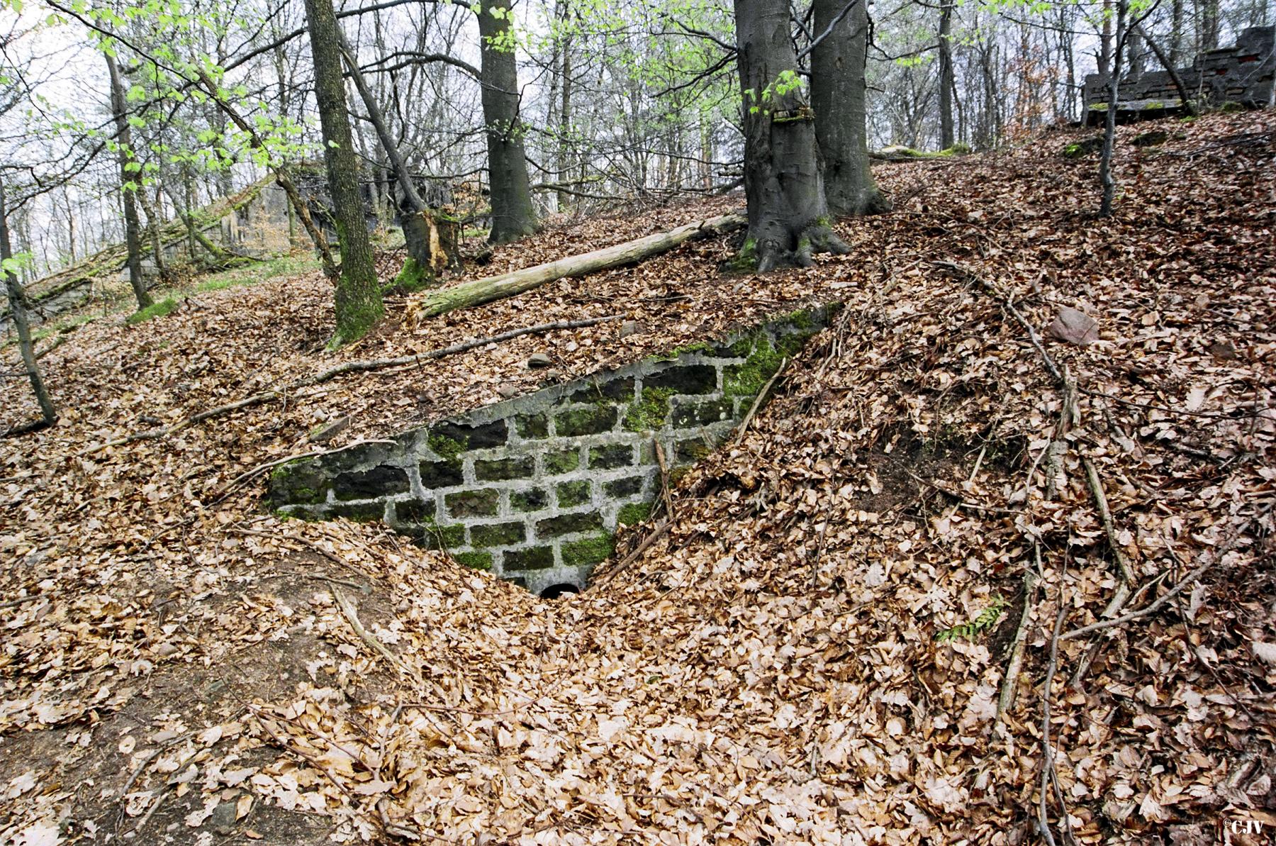 Ligne Maginot - BIESENBERG 4 - (Blockhaus pour arme infanterie) -  - Lia VERMEULEN