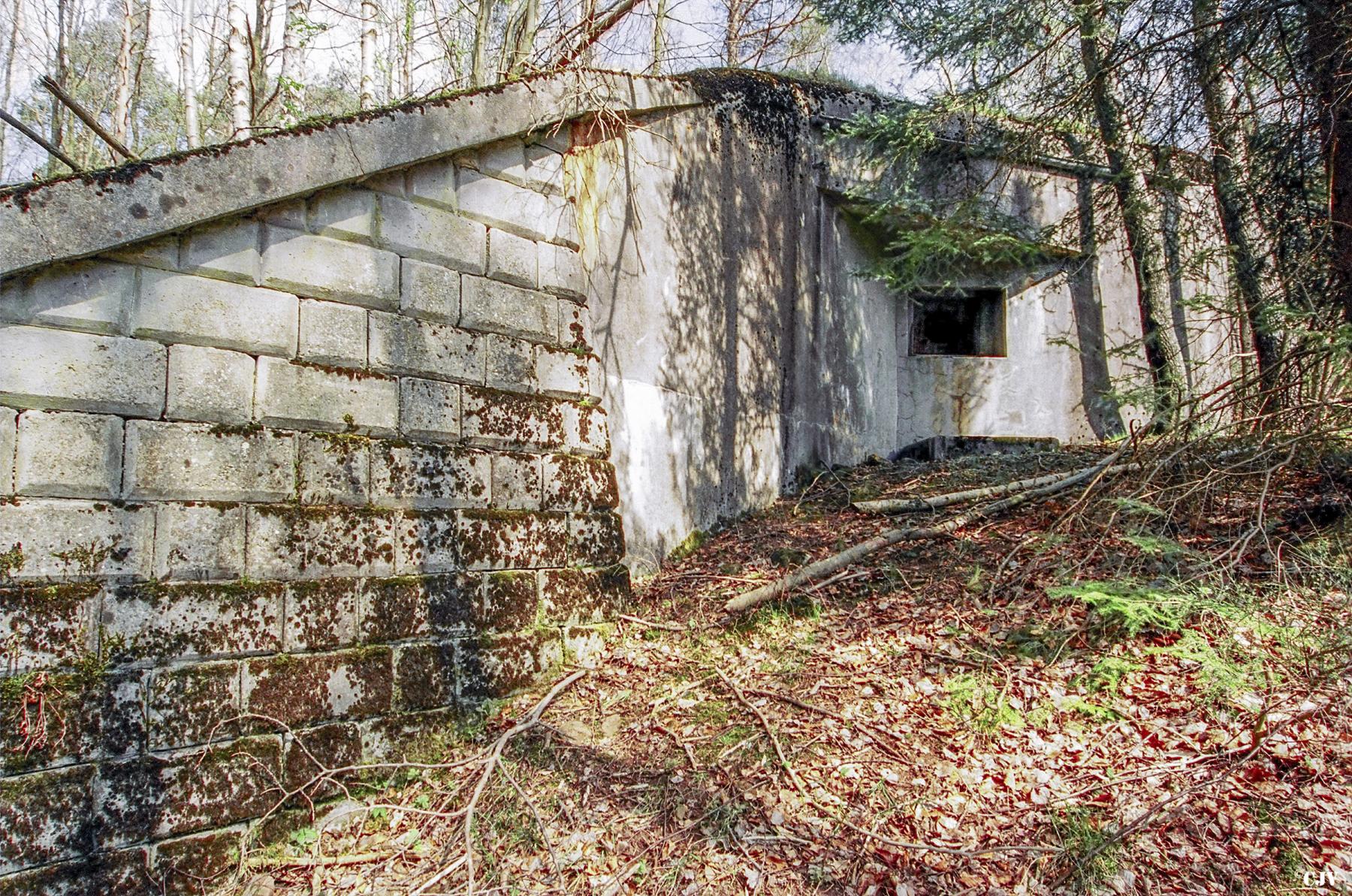 Ligne Maginot - BIESENBERG 3 - (Blockhaus pour arme infanterie) -  - Lia VERMEULEN