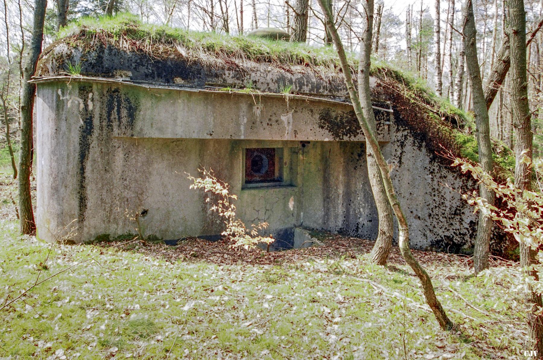 Ligne Maginot - BIESENBERG 3 - (Blockhaus pour arme infanterie) -  - Lia VERMEULEN