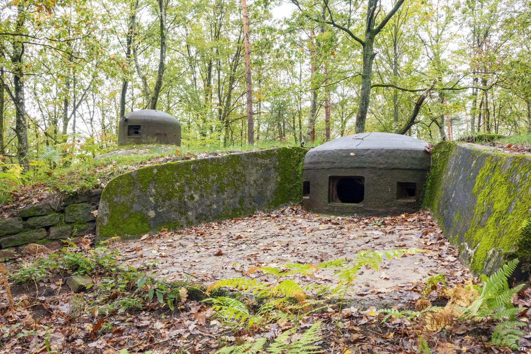 Ligne Maginot - BIESENBERG SOMMITALE - (Casemate d'infanterie - Simple) - Cloche pour jumelage de mitrailleuses Reibel MAC 31 - Lia VERMEULEN