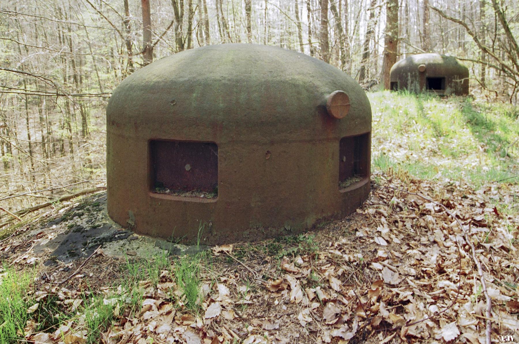 Ligne Maginot - BIESENBERG 5 - (Blockhaus pour arme infanterie) -  - Lia VERMEULEN