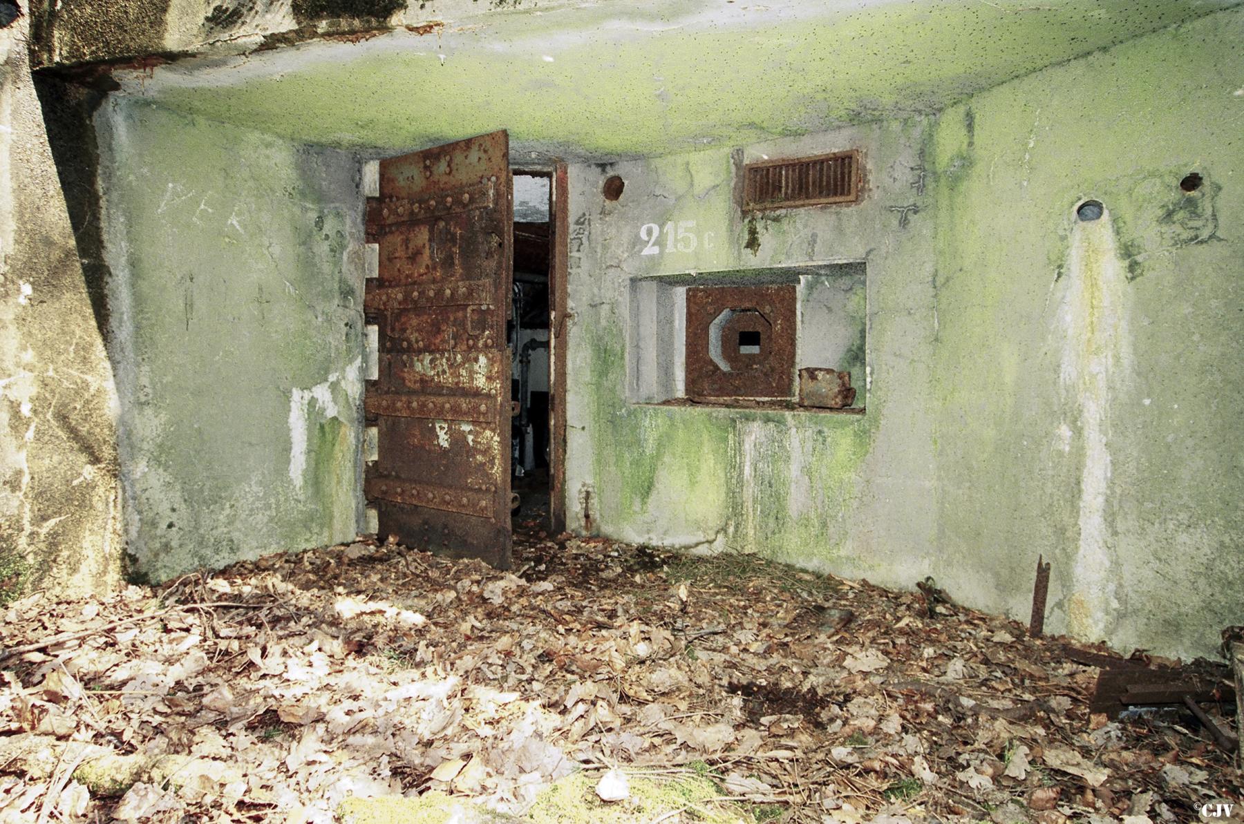 Ligne Maginot - BIESENBERG 5 - (Blockhaus pour arme infanterie) -  - Lia VERMEULEN