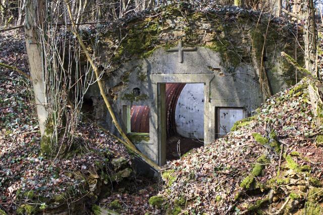 Ligne Maginot - BATZENTHALER BUSCH (2° BON - 169° RIF) - (PC de Quartier) -  - www.arnaultjl-photo.com