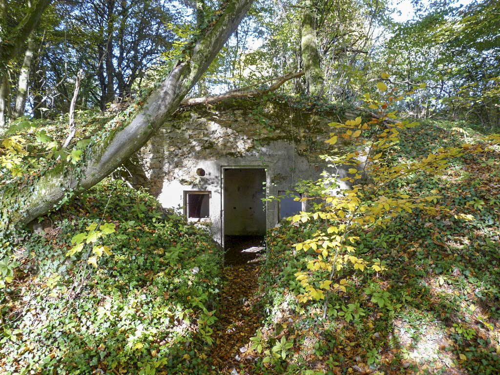 Ligne Maginot - BATZENTHALER BUSCH (2° BON - 169° RIF) - (PC de Quartier) -  - Sylvie Laure LAMBERT