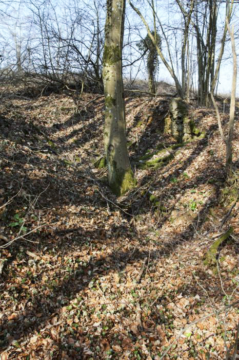Ligne Maginot - BATZENTHALER BUSCH (2° BON - 169° RIF) - (PC de Quartier) - La quatrième alvéole n'a pas été achevée. - www.arnaultjl-photo.com