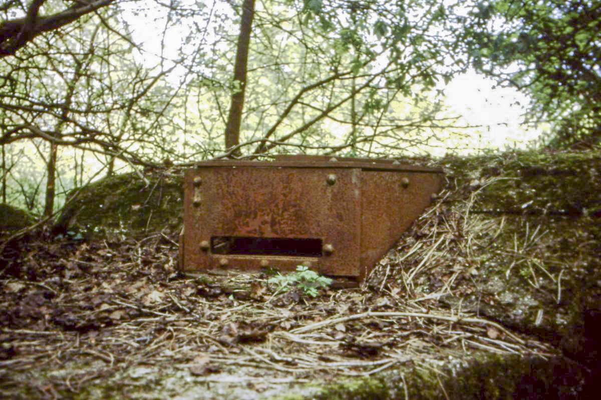 Ligne Maginot - BATZENTHALER BUSCH - (Observatoire d'infanterie) - La guérite observatoire  - NOEL Yves