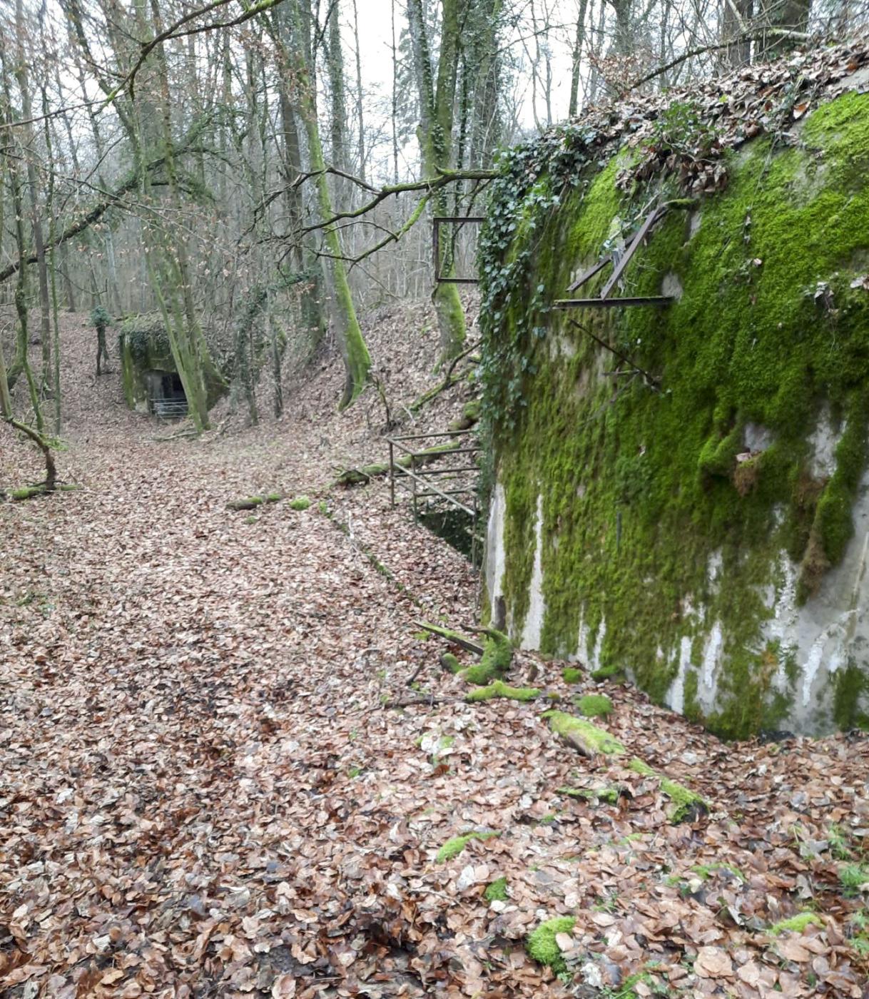 Ligne Maginot - BOIS D'ESCHERANGE - X3 (QUARTIER KANFEN - I/169°RIF) - (Abri) - L'endroit ne change pas trop malgré les années - sach1050