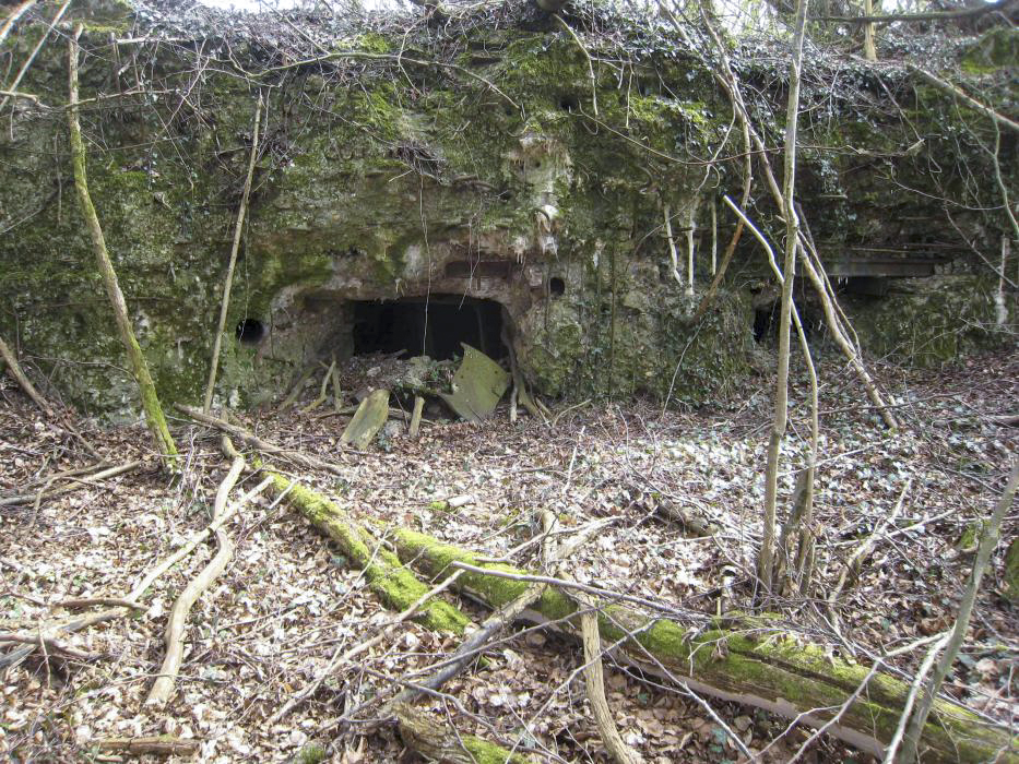 Ligne Maginot - CB13BIS - PETERSBERG - (Blockhaus pour canon) - Vue des restes des créneaux - Pruzsina jerome