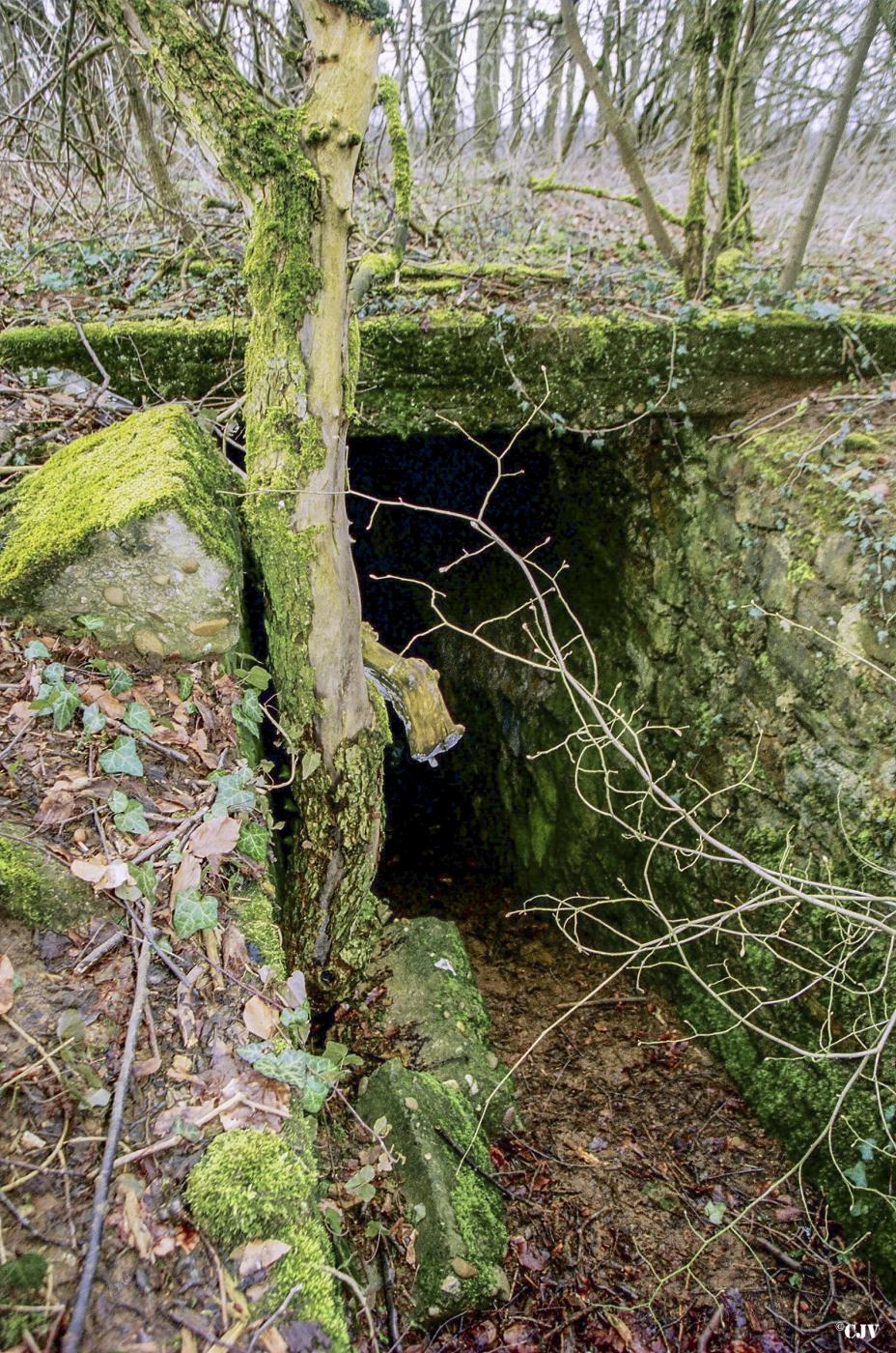 Ligne Maginot - CB13BIS - PETERSBERG - (Blockhaus pour canon) - Le couloir d'entrée - Lia VERMEULEN