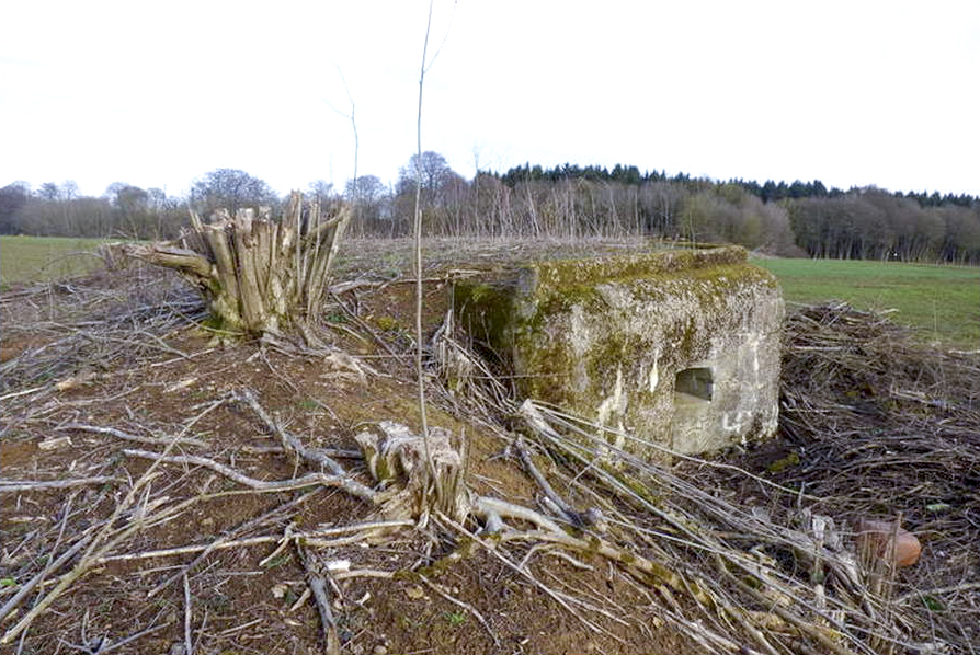 Ligne Maginot - CB14BIS - (Blockhaus pour arme infanterie) - Débroussaillé pour la marche du patrimoine. - Sylvie Laure LAMBERT