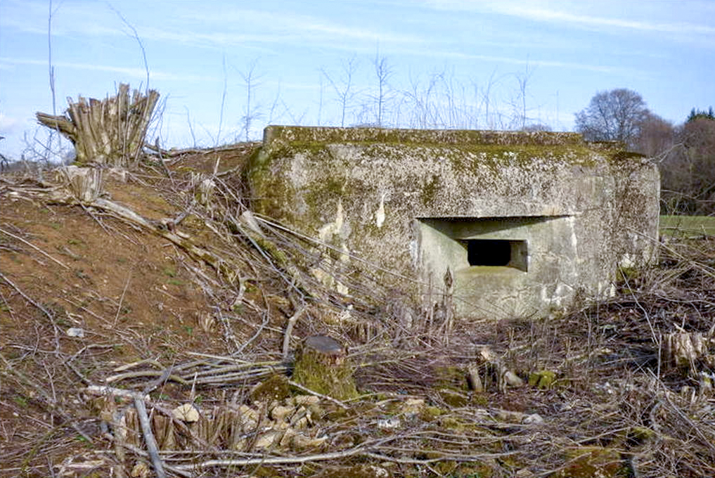 Ligne Maginot - CB14BIS - (Blockhaus pour arme infanterie) - Débroussaillé pour la marche du patrimoine. - Sylvie Laure LAMBERT