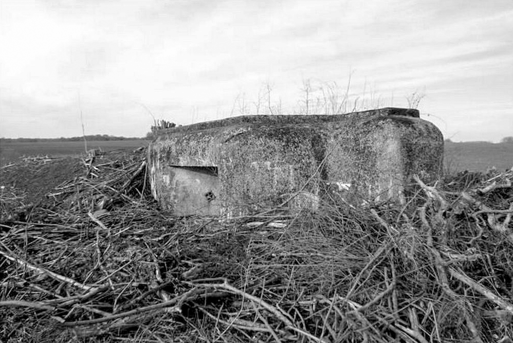 Ligne Maginot - CB14BIS - (Blockhaus pour arme infanterie) - Débroussaillé pour la marche du patrimoine. - Sylvie Laure LAMBERT