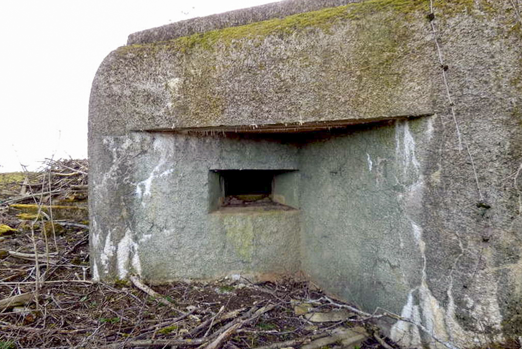 Ligne Maginot - CB14BIS - (Blockhaus pour arme infanterie) - Débroussaillé pour la marche du patrimoine. - Sylvie Laure LAMBERT