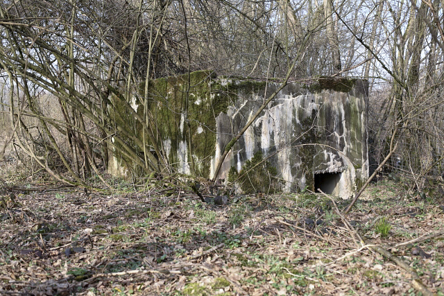 Ligne Maginot - CB17-B - HOMESCHLOCH 3 - (Blockhaus pour arme infanterie) -  - Arnault