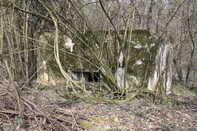 Ligne Maginot - CB17-B - HOMESCHLOCH 3 - (Blockhaus pour arme infanterie) -  - Arnault