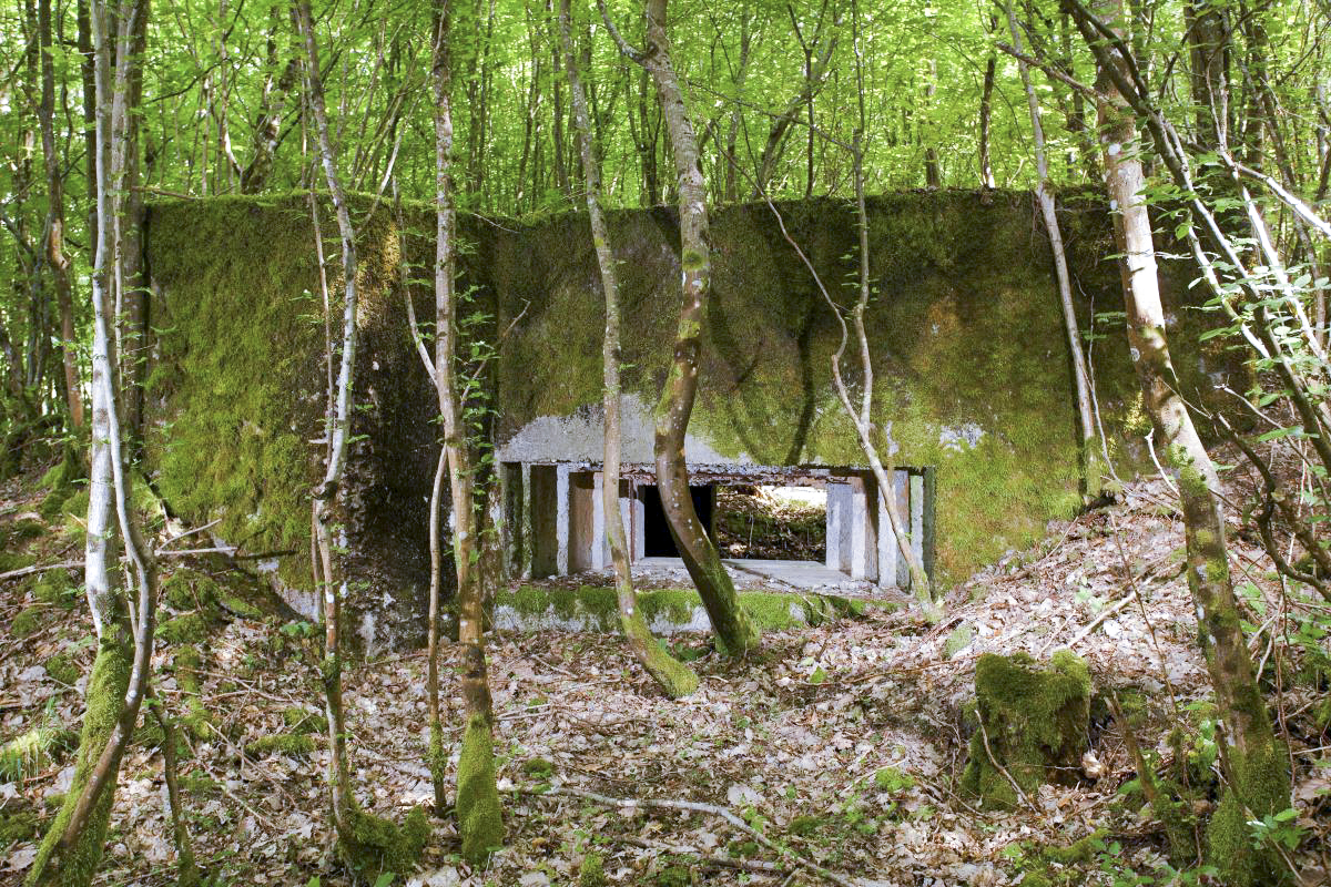 Ligne Maginot - CB306 - KANFENER BUSCH 8 - (Blockhaus pour canon) - Vue générale - Arnault JL Photo