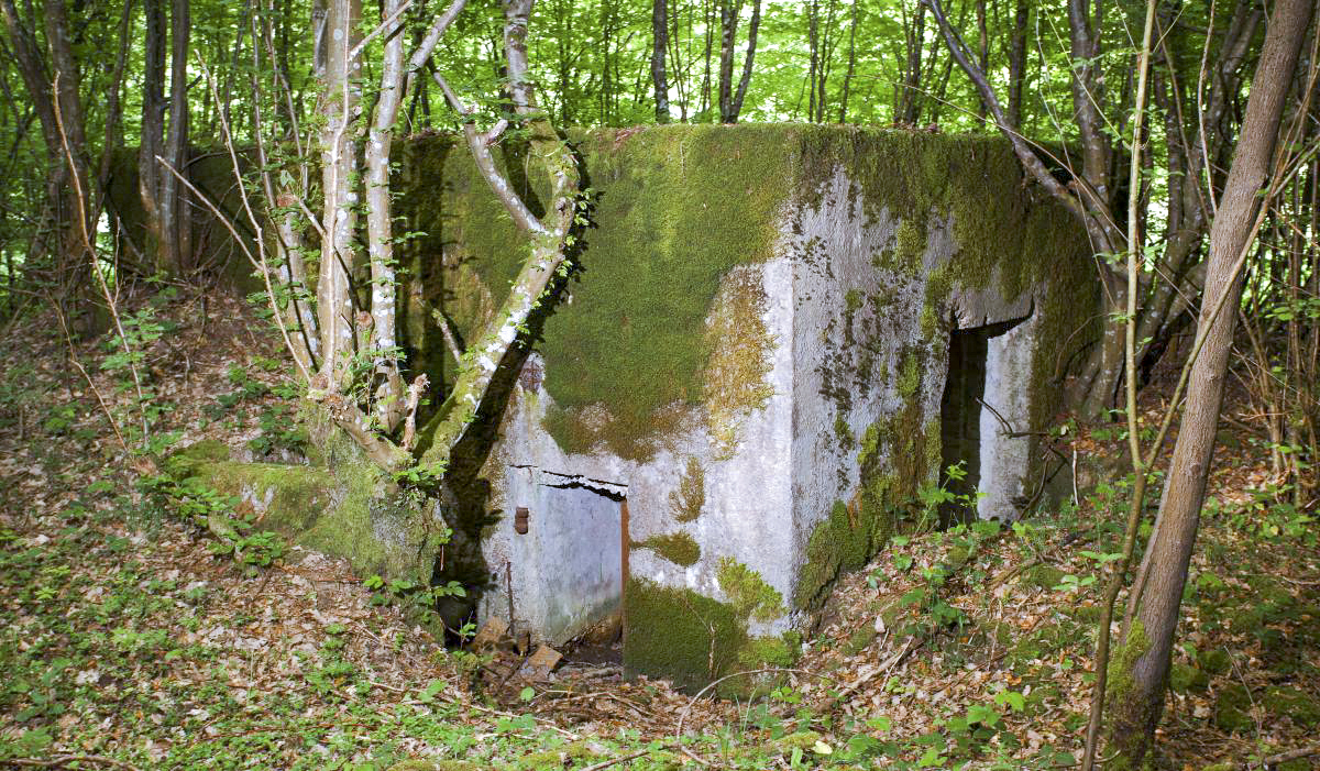 Ligne Maginot - CB306 - KANFENER BUSCH 8 - (Blockhaus pour canon) - Vue générale - Arnault JL Photo