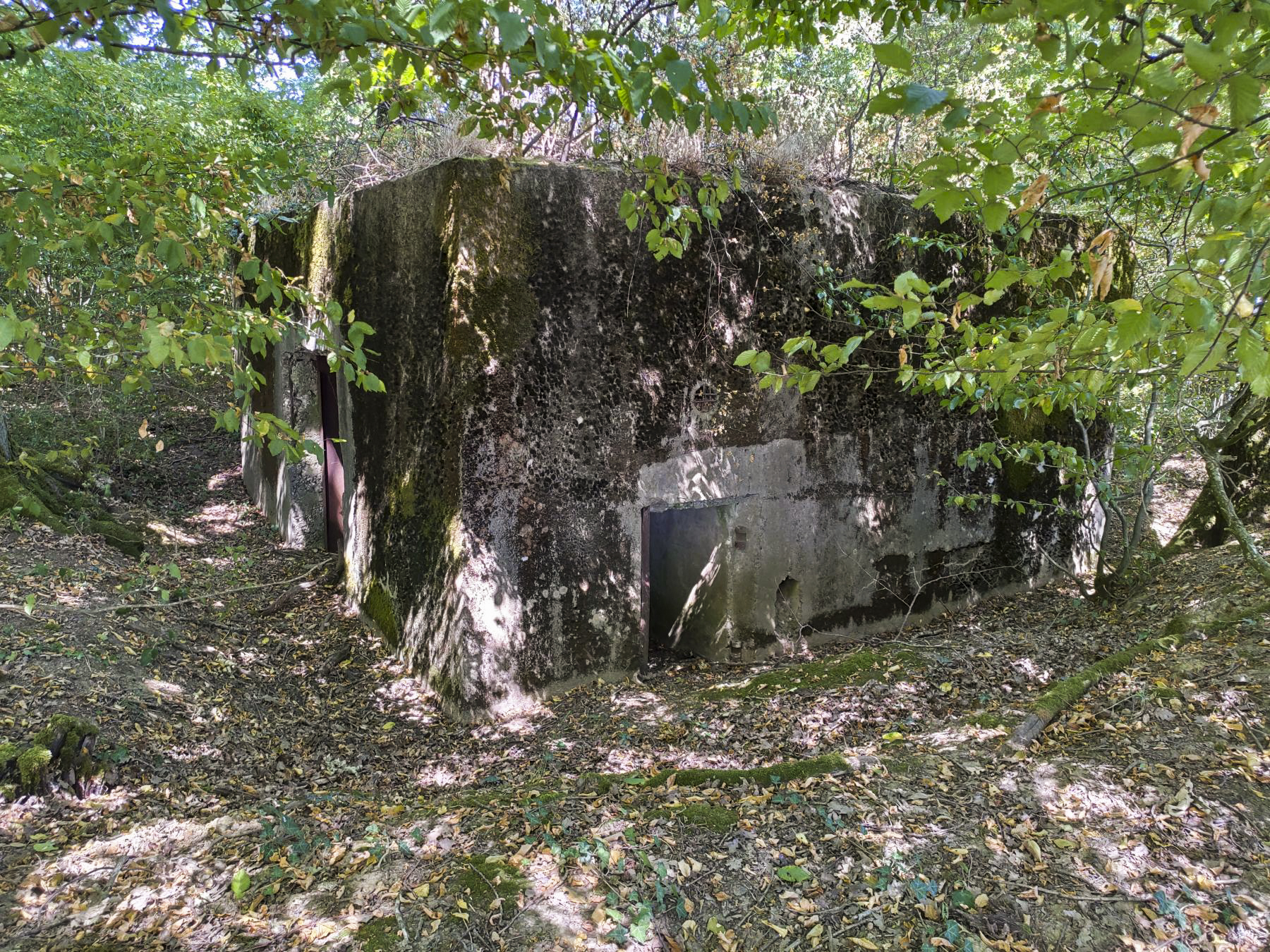 Ligne Maginot - CB309 - ZEITERHOLZ EST - (Blockhaus pour canon) - Entrée latérale - Cédric