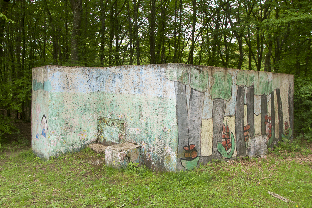Ligne Maginot - CB311 - ZEITERHOLZ 1 - (Blockhaus pour arme infanterie) - Vue en 2012 - Michel Teiten