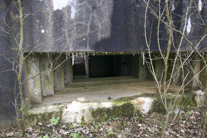 Ligne Maginot - Créneau du blockhaus -  - Michel Teiten