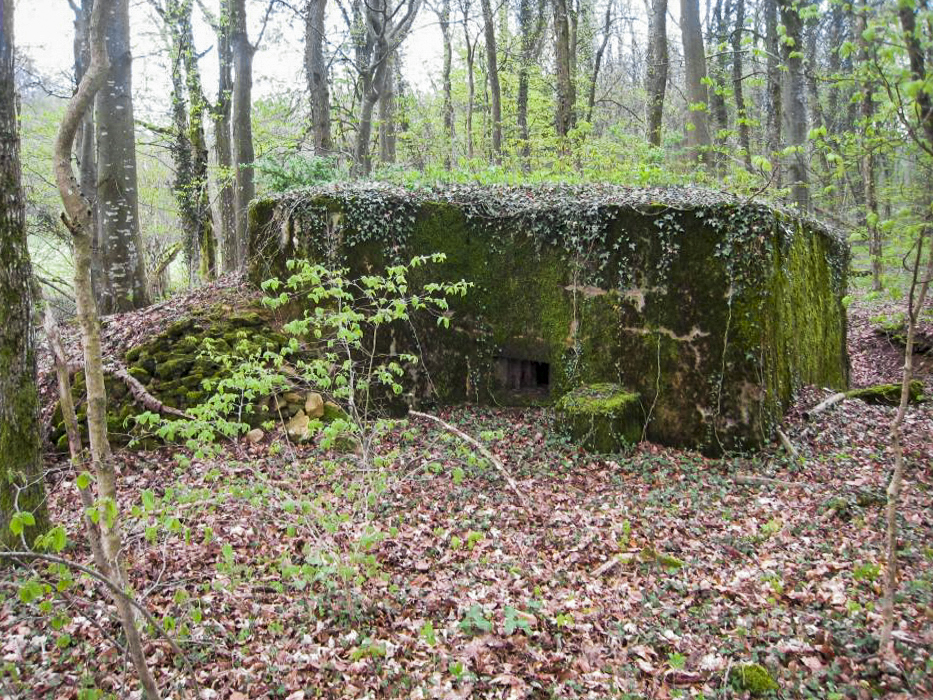 Ligne Maginot - CB331 - GINSKLOPP OUEST - (Blockhaus pour arme infanterie) -  - Pruzsina jerome