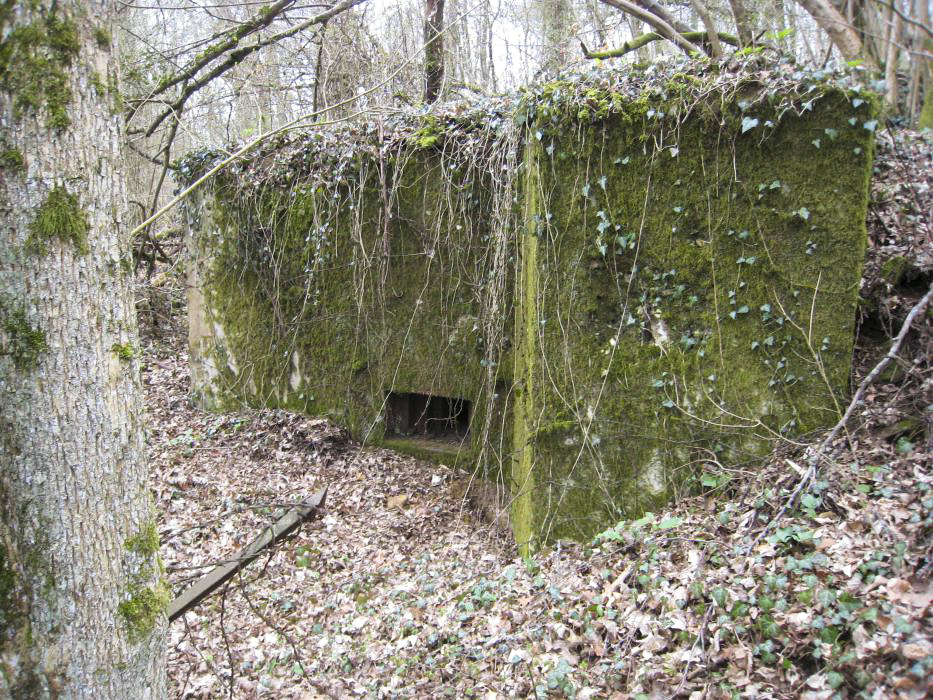 Ligne Maginot - CB335 - BOIS DE LA FANK - (Blockhaus pour arme infanterie) -  - Pruzsina jerome