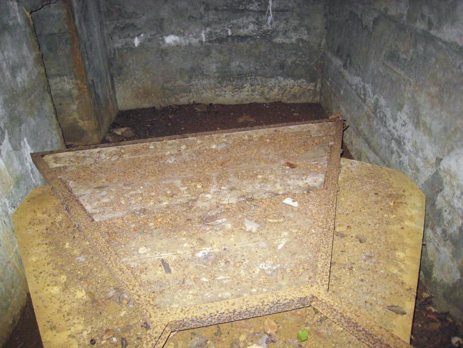 Ligne Maginot - CB335 - BOIS DE LA FANK - (Blockhaus pour arme infanterie) -  - Pruzsina jerome