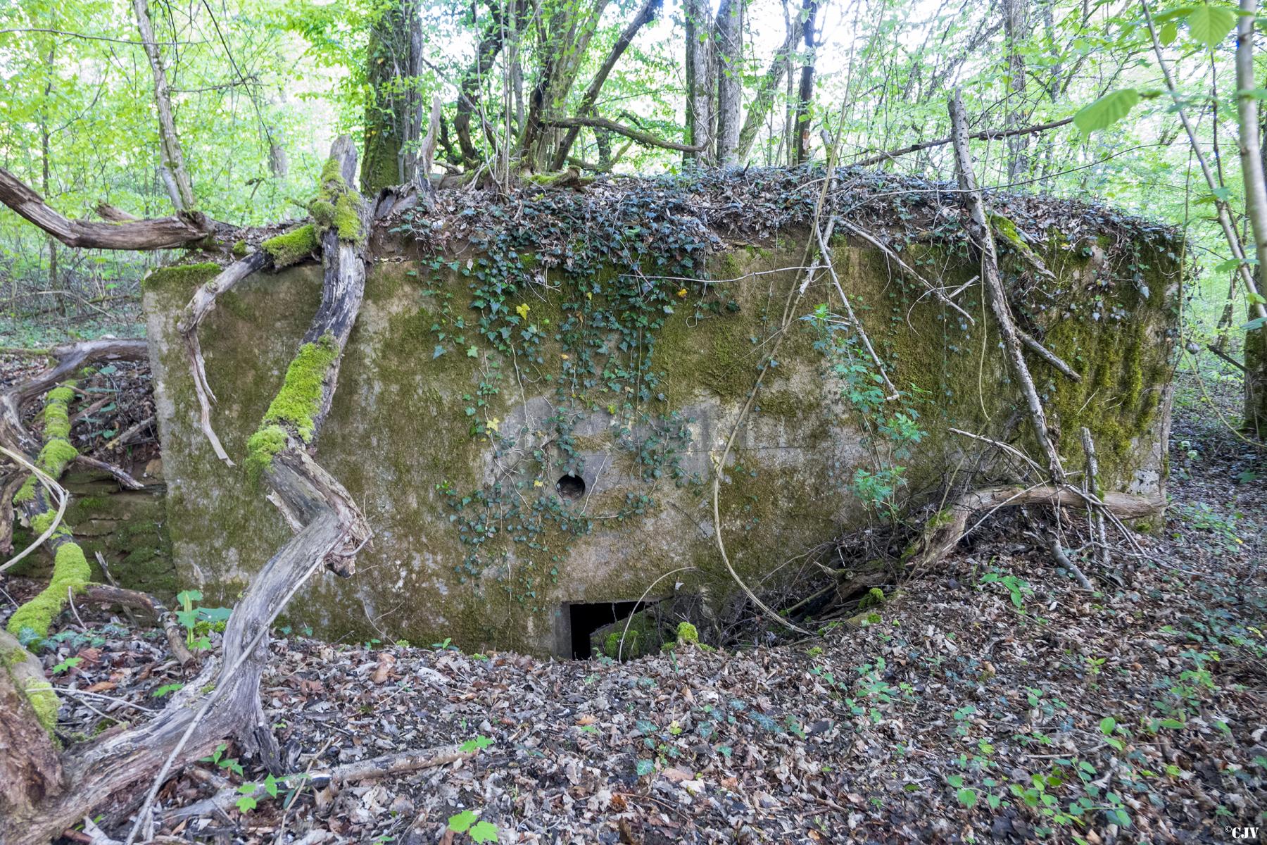 Ligne Maginot - CB335 - BOIS DE LA FANK - (Blockhaus pour arme infanterie) - L'entrée - Lia VERMEULEN