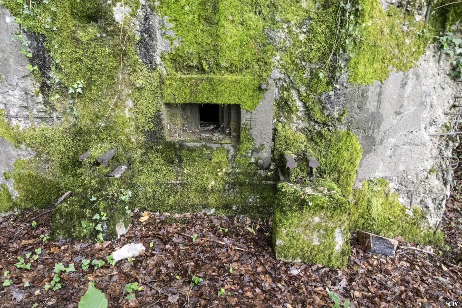 Ligne Maginot - CB421 - NEUWIESE 1 - (Blockhaus pour arme infanterie) -  - Lia VERMEULEN