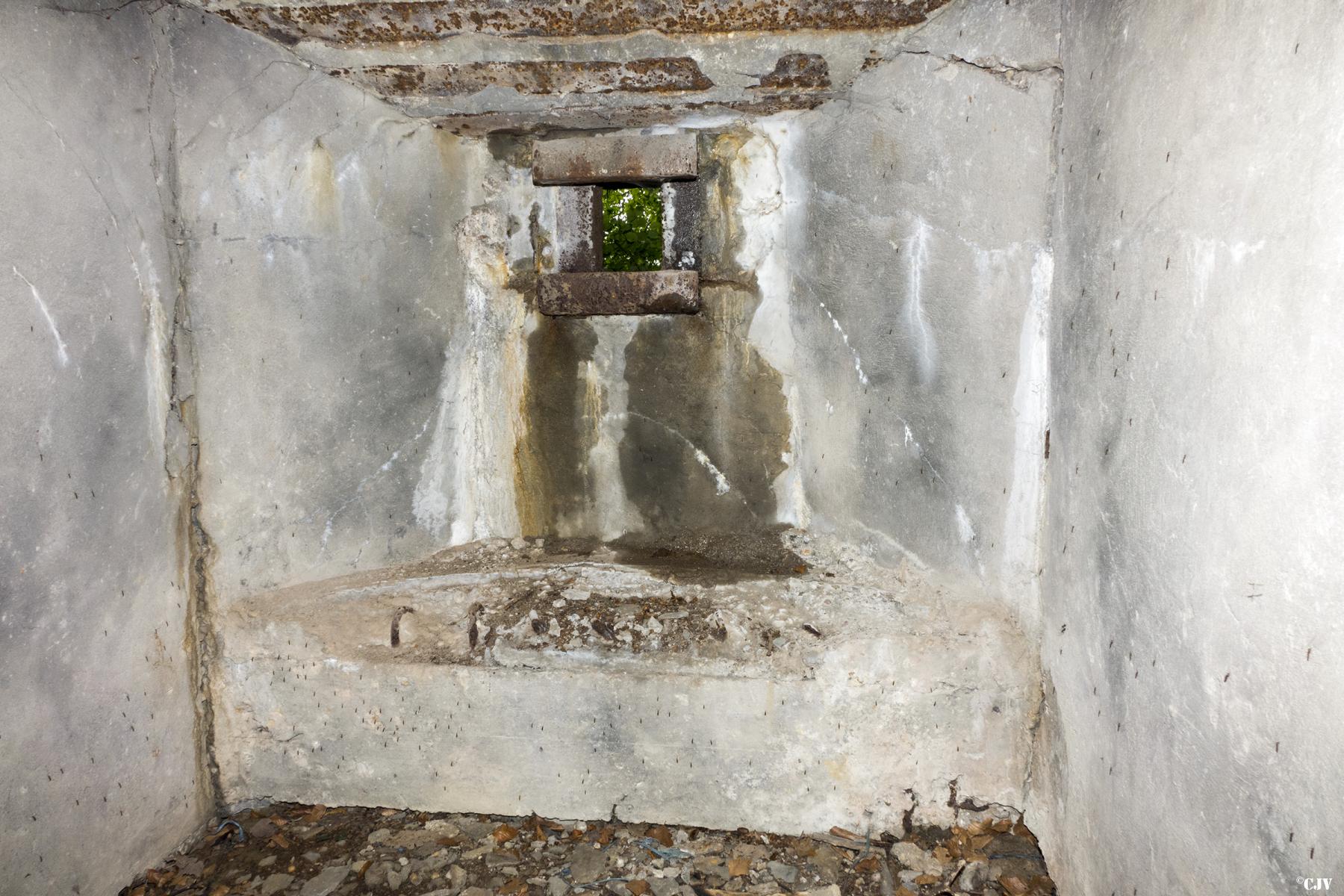 Ligne Maginot - CB421 - NEUWIESE 1 - (Blockhaus pour arme infanterie) -  - Lia VERMEULEN
