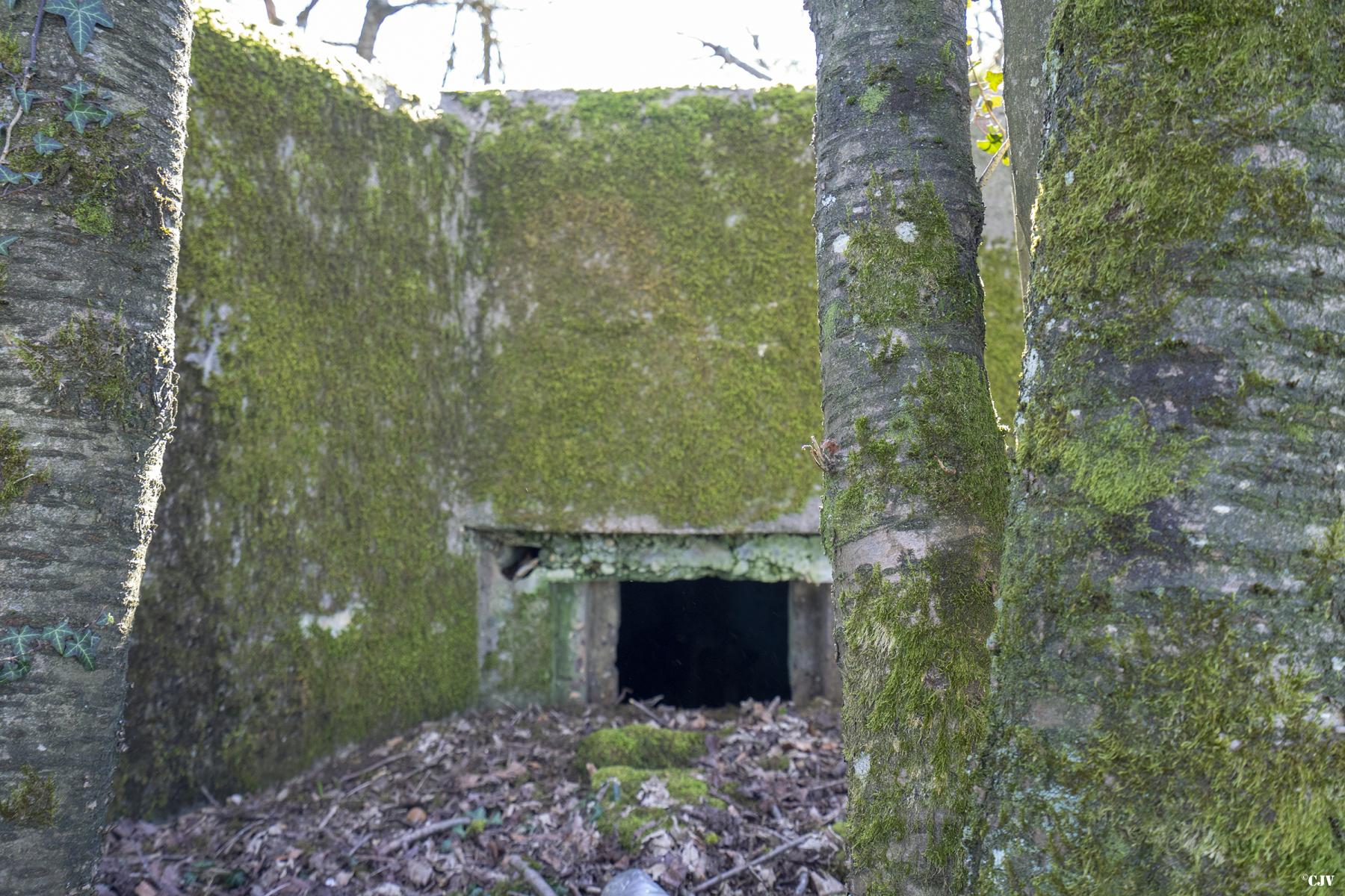 Ligne Maginot - LOHPFAD - (Blockhaus pour arme infanterie) -           - Lia VERMEULEN