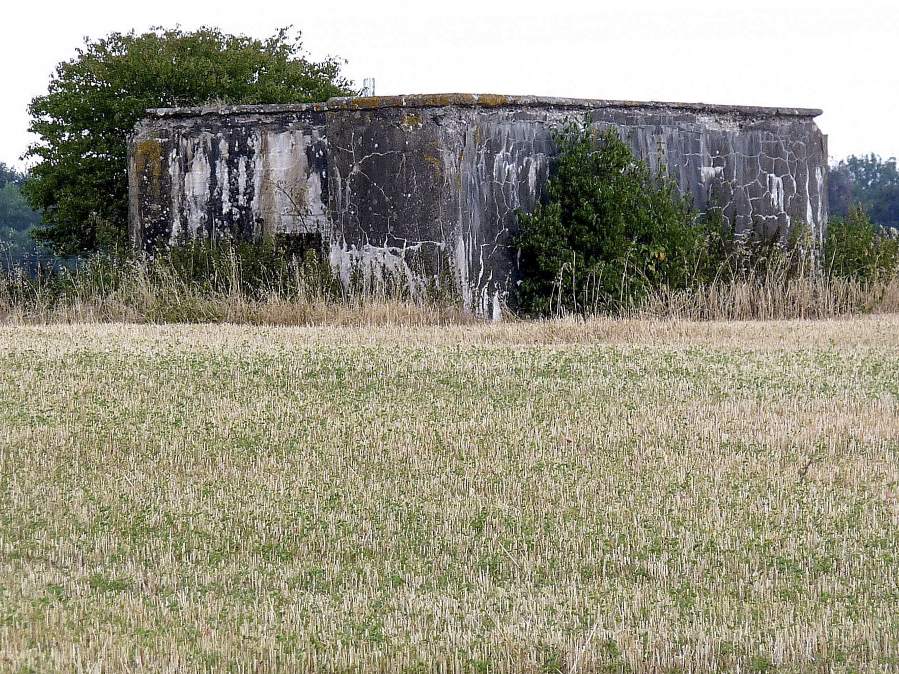 Ligne Maginot - CB344 - BREITENBAUM - (Blockhaus pour arme infanterie) -  - Sylvie Laure LAMBERT