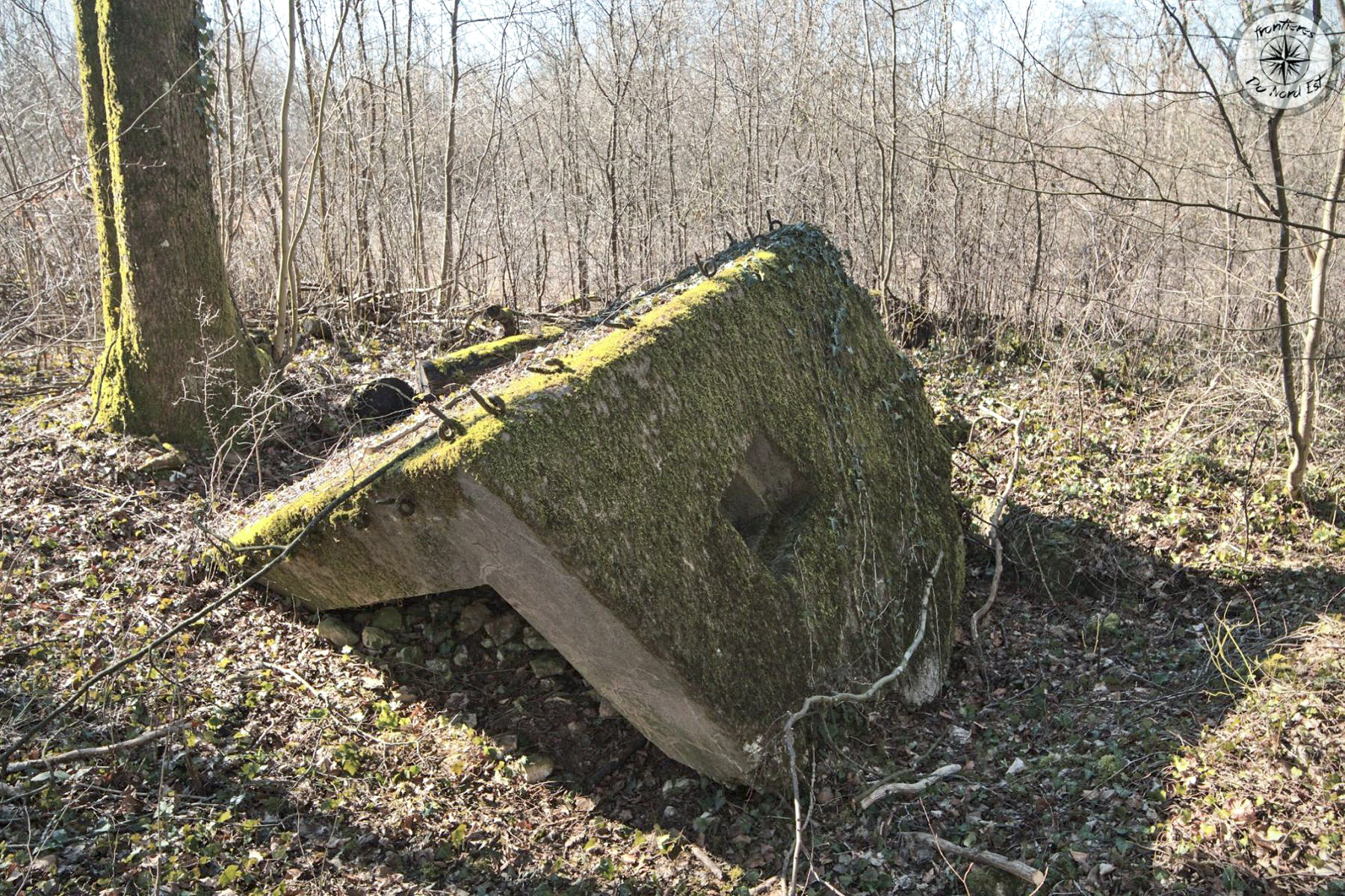 Ligne Maginot - CBO3 - (Blockhaus pour canon) - Les ruines du bouclier anti char - Thierry Caland