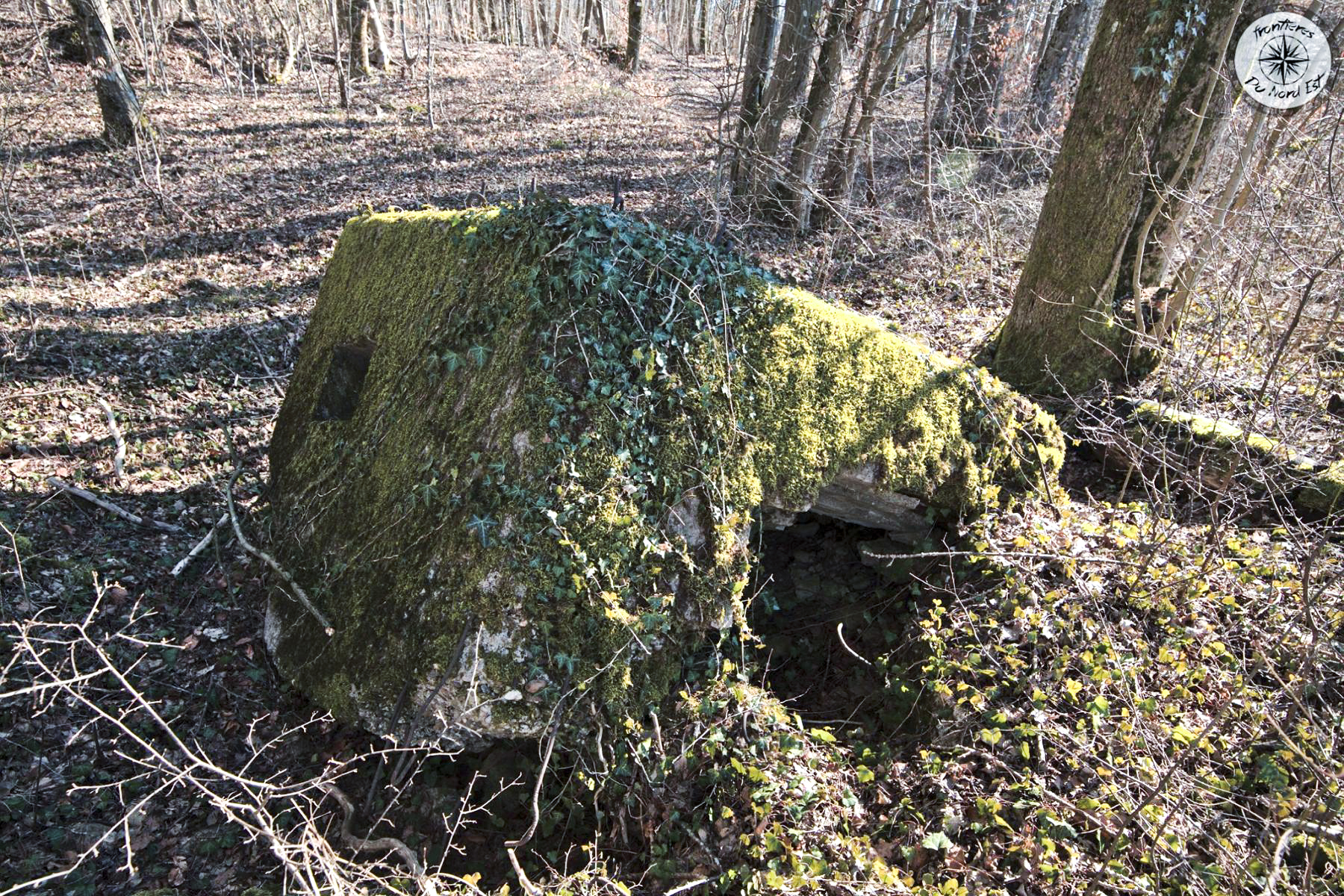 Ligne Maginot - CBO3 - (Blockhaus pour canon) - Les ruines du bouclier anti char - Thierry Caland