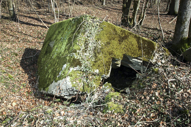 Ligne Maginot - CBO3 - (Blockhaus pour canon) -  - www.arnaultjl-photo.com