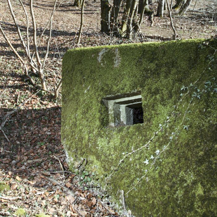 Ligne Maginot - CBO3 - (Blockhaus pour canon) -  - www.arnaultjl-photo.com
