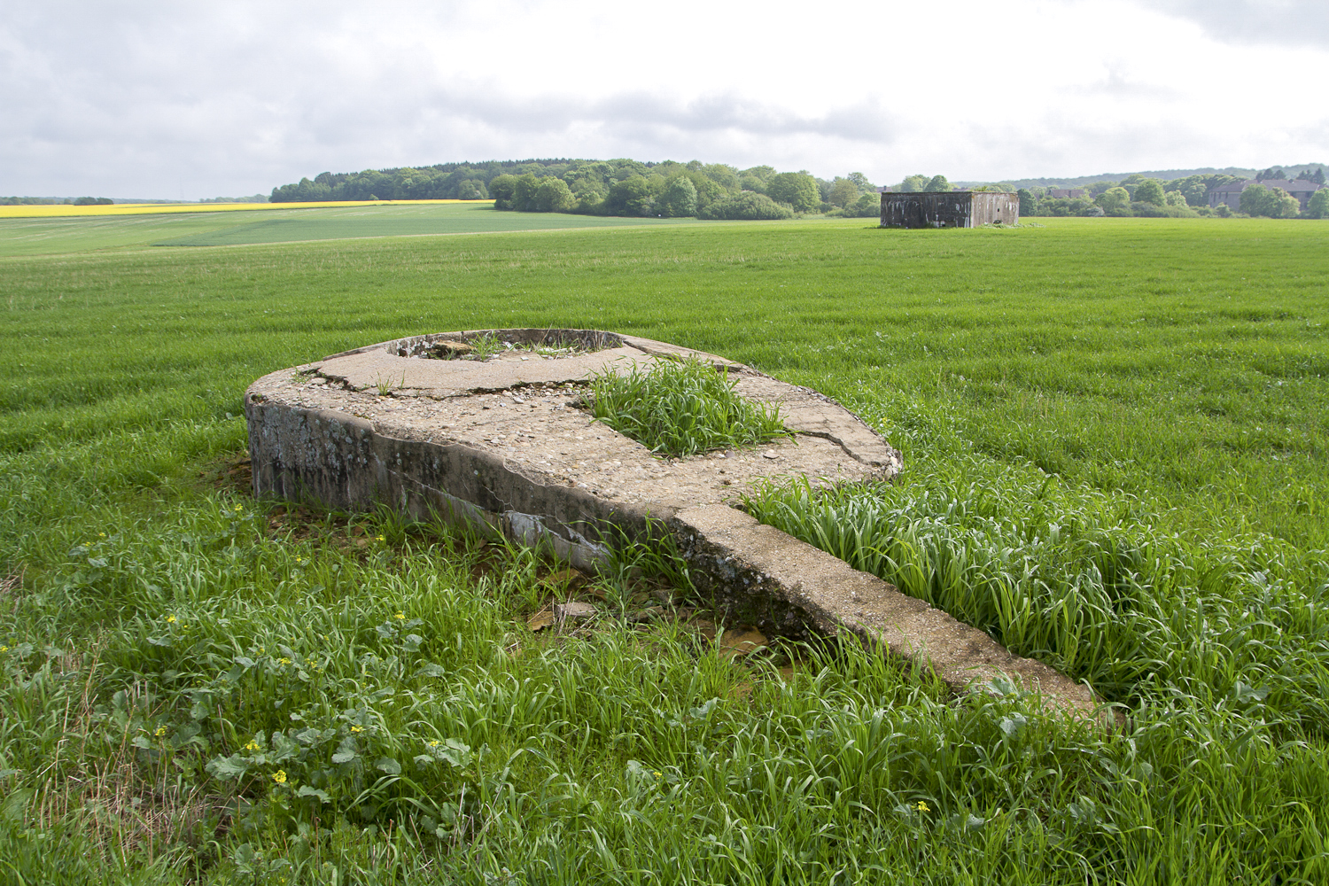 Ligne Maginot - CT91 - BREITENBAUM - (Cuve pour arme d'infanterie) - Cb344 Breitenbaum en arrière plan - Michel Teiten