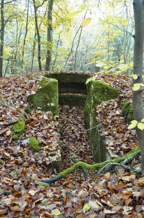 Ligne Maginot - CT86 - (Cuve pour arme d'infanterie) -  - Pruzsina jérome