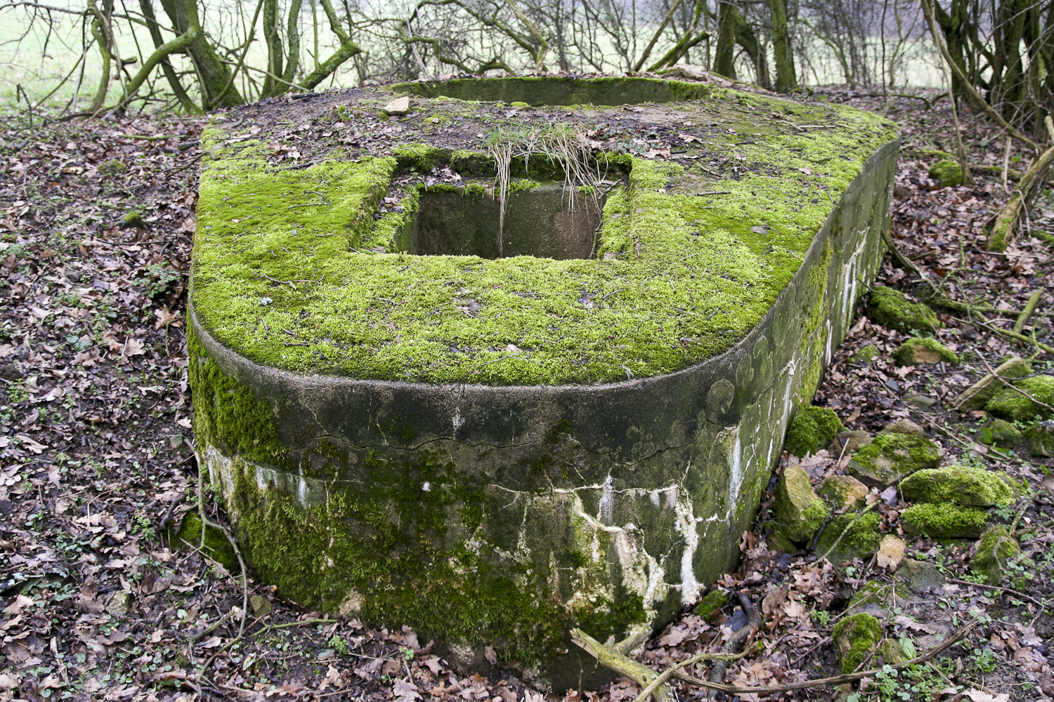 Ligne Maginot - CT82 - (Cuve pour arme d'infanterie) -  - Michel Teiten