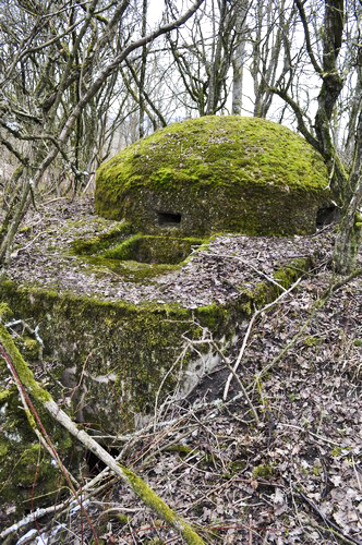 Ligne Maginot - CT77 - (Cuve pour arme d'infanterie) -  - Pruzsina Jérome
