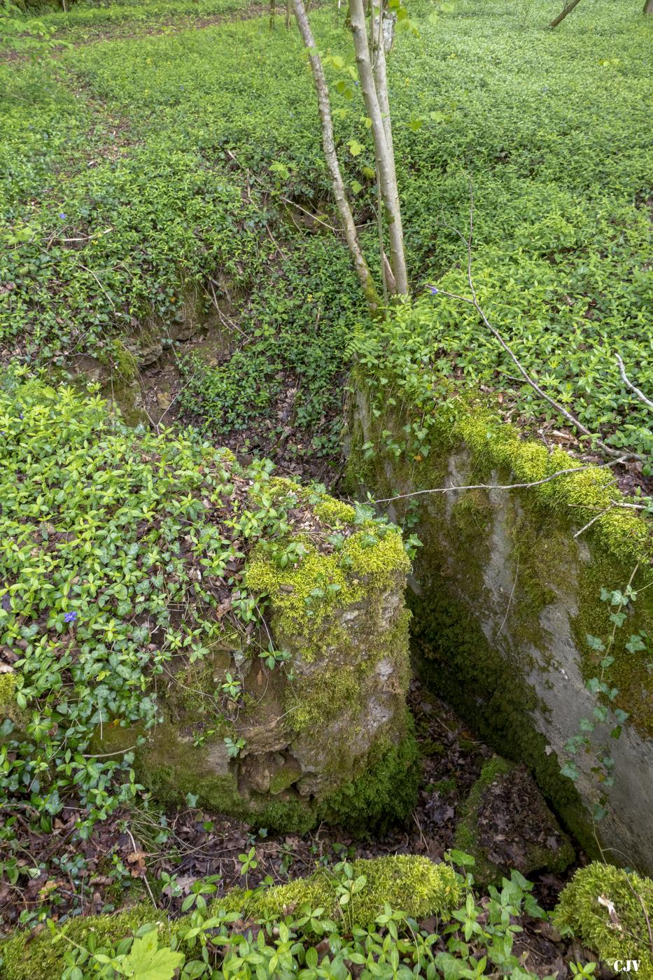 Ligne Maginot - GRAND LOT TRANCHéE - (Divers) - L'abri c'est effondré  - Lia VERMEULEN
