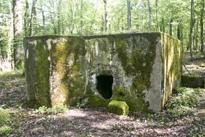 Ligne Maginot - KANFENER BUSCH 2 - (Blockhaus pour arme infanterie) - Vue frontale du blockhaus.
L'embrasure a été détruite.