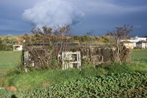 Ligne Maginot - CB270 - KLEINE WECKINGEN - (Blockhaus pour canon) - Vue latérale du bloc.
On voit la forêt et les panaches de la centrale nucléaire de Cattenom à l'arrière-plan.
