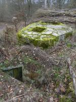 Ligne Maginot - CT57 - (Cuve pour arme d'infanterie) - Au premier plan l'escalier d'accés à l'encuvement.
Un second accés par un puit doté d'une échelle est visible sur le massif bétonné.