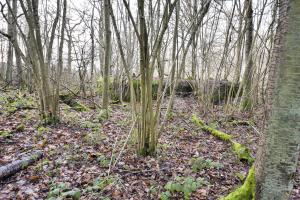 Ligne Maginot - SAINTE MARIE (168° RIF - 70° RAMF) - (PC de Sous-Secteur) - Annexe 1
Extension